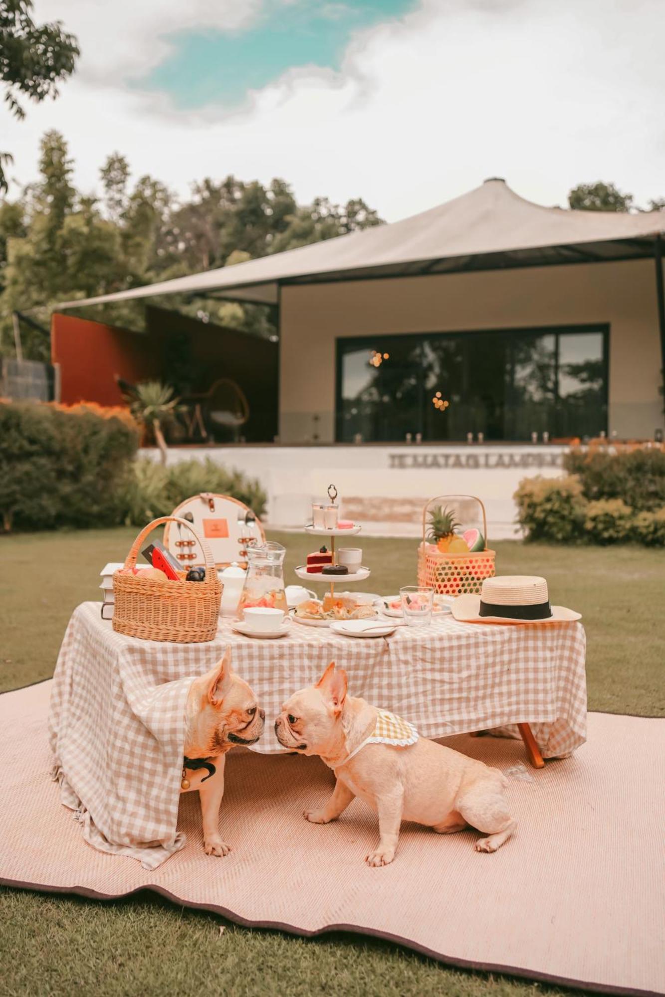 Hotel Te Mata Glamping à Nong Nam Daeng Extérieur photo